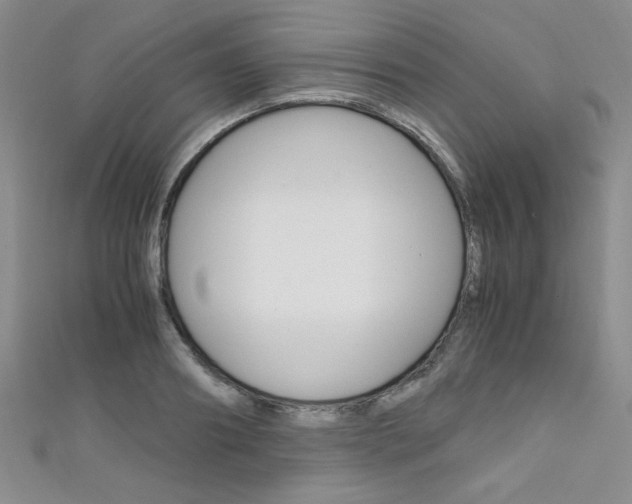 X0000111650890200907171056