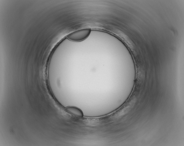 X0000111650893200907171056