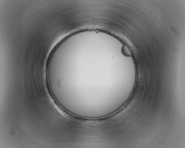 X0000111650894200907171056