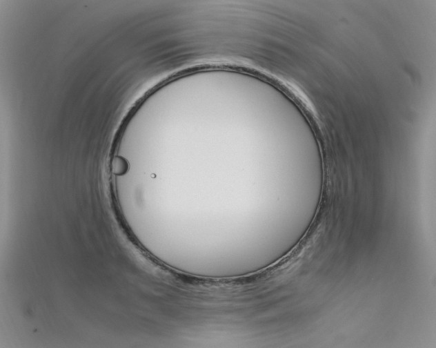 X0000111650895200907171056