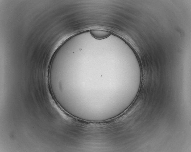 X0000111650898200907171056