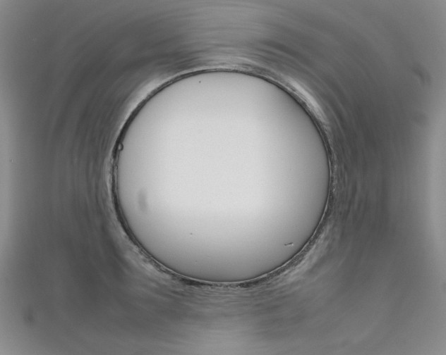 X0000111650899200907171056