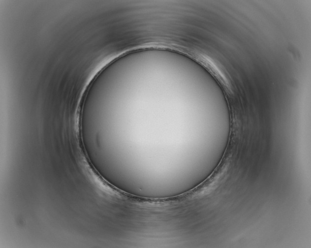 X0000111650900200907171056