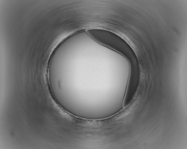 X0000111650901200907171056