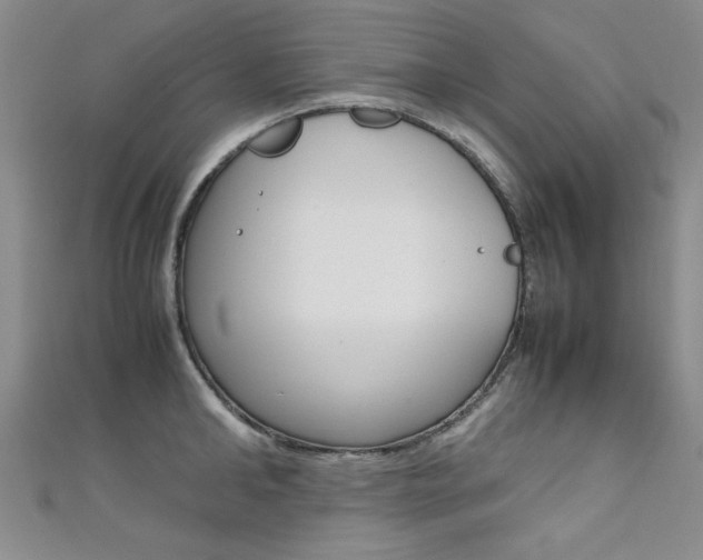 X0000111650902200907171056