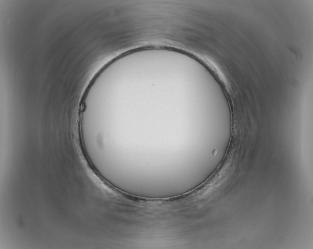 X0000111650903200907171056