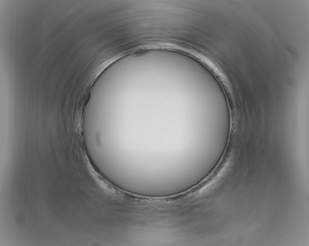 X0000111650905200907171056