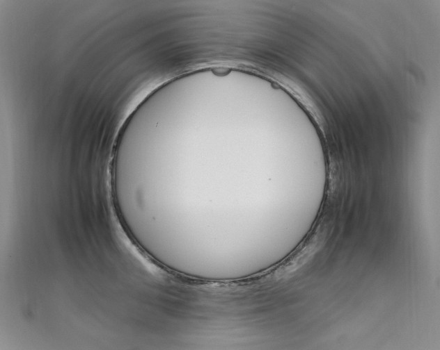 X0000111650906200907171056