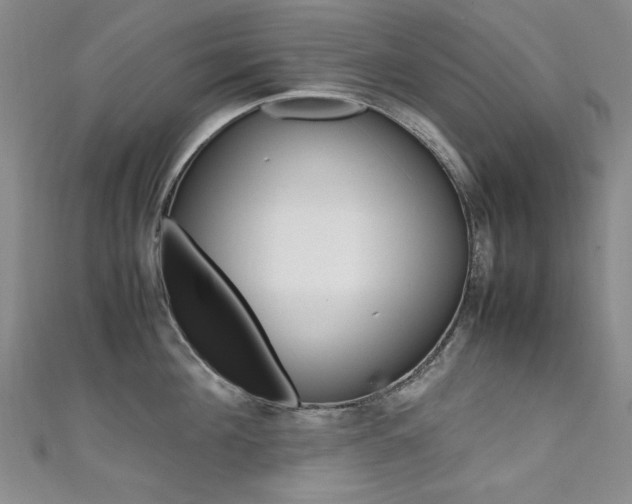 X0000111650908200907171056