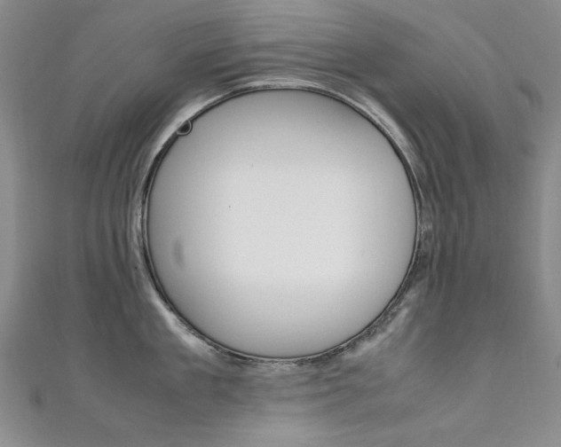X0000111650909200907171056