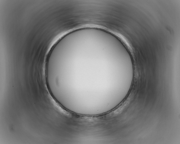 X0000111650910200907171056