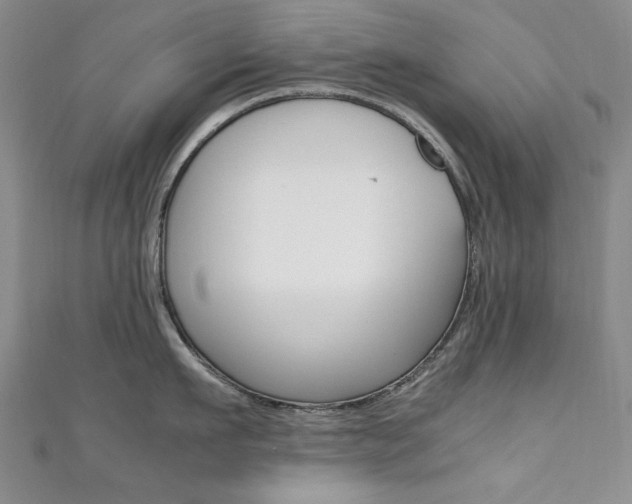 X0000111650911200907171056