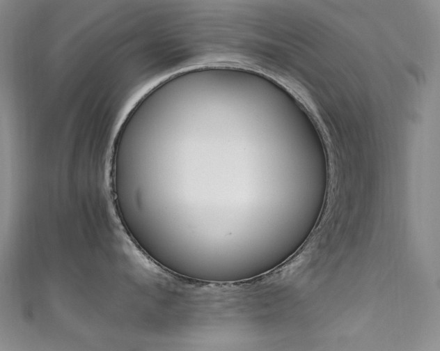 X0000111650912200907171056