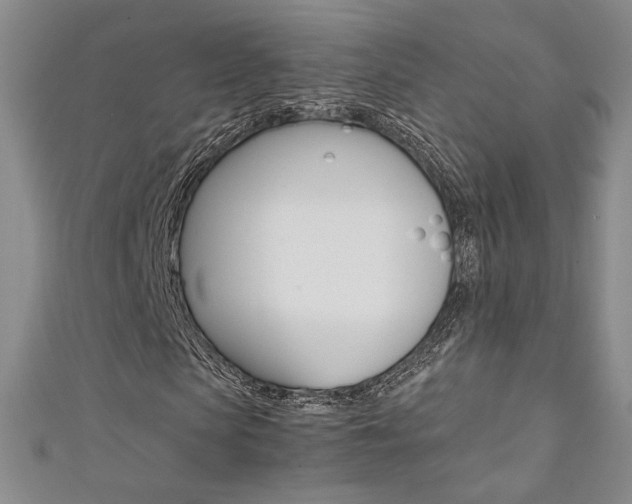 X0000111650913200907171055