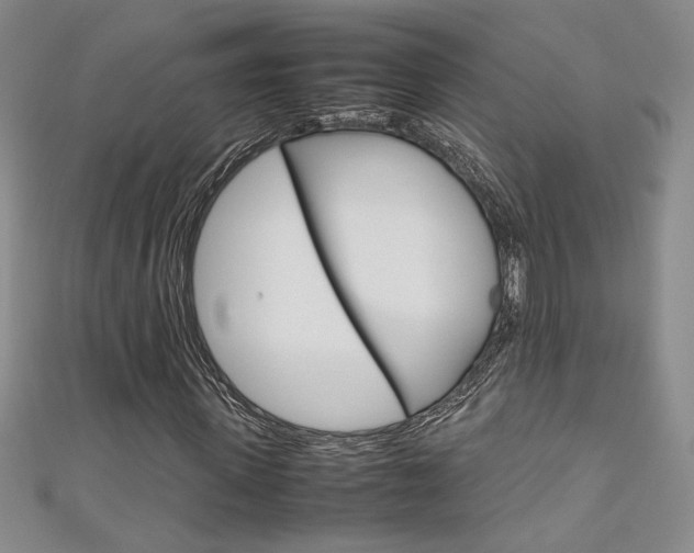 X0000111650915200907171055
