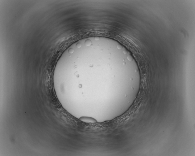 X0000111650917200907171055
