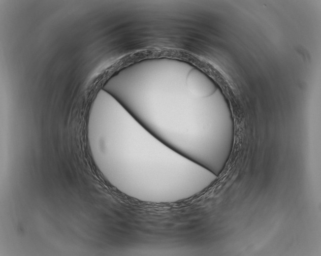 X0000111650919200907171055