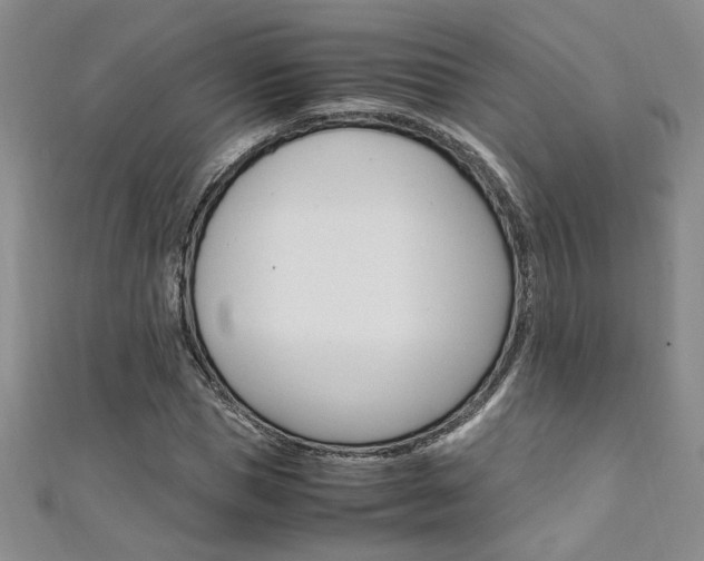 X0000111650921200907171056