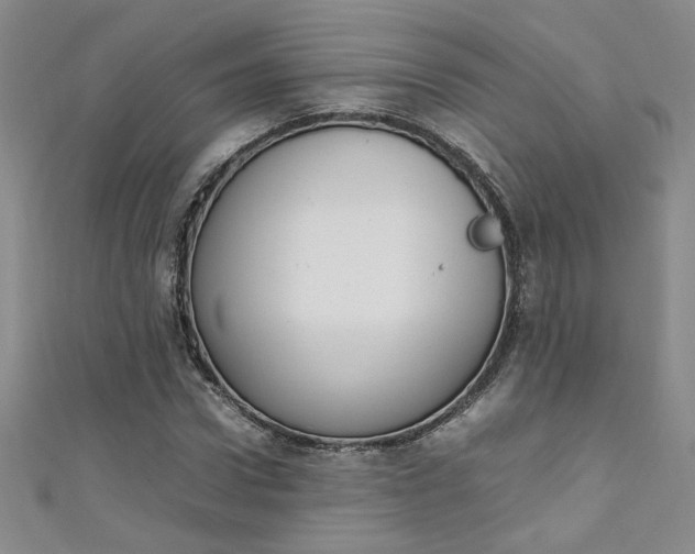 X0000111650922200907171056