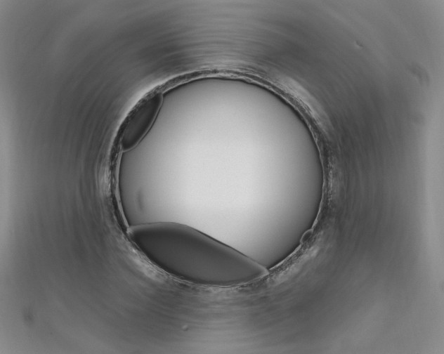 X0000111650924200907171056
