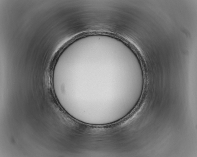 X0000111650925200907171056