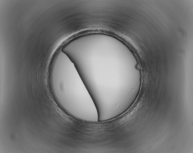 X0000111650927200907171056