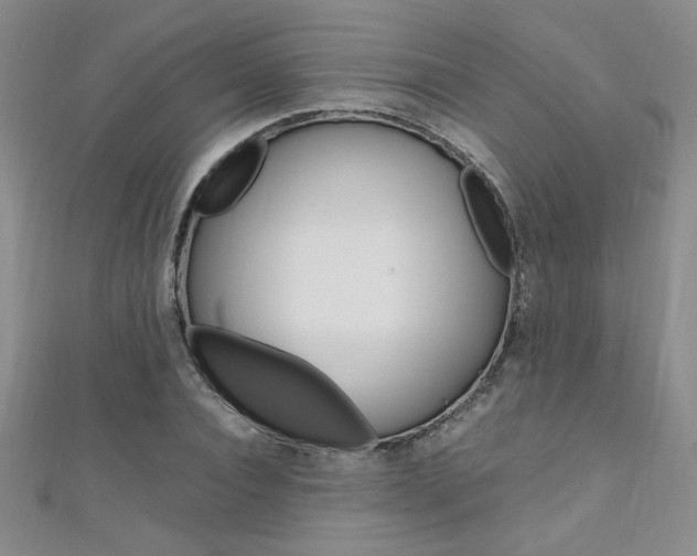 X0000111650928200907171056