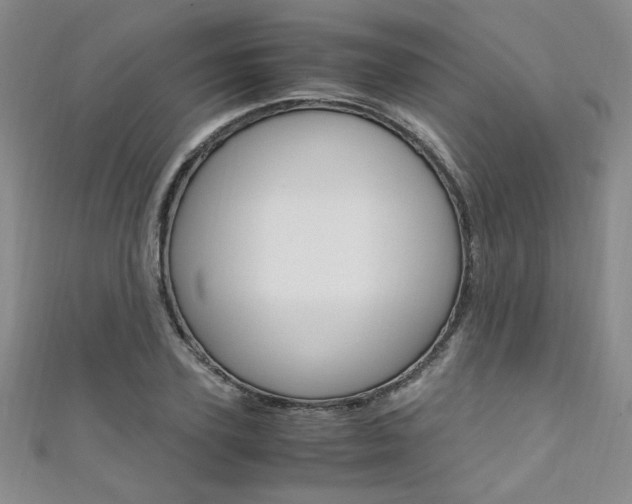 X0000111650931200907171056