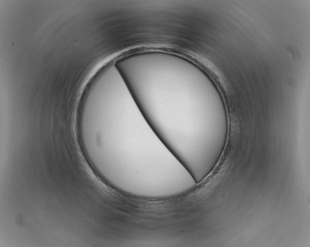 X0000111650935200907171056