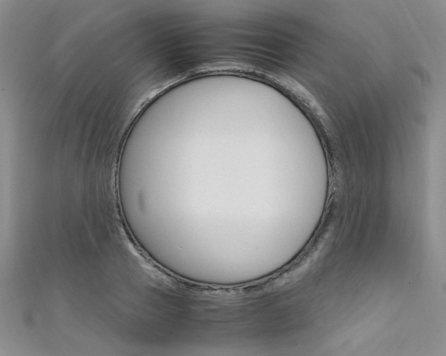 X0000111650937200907171056