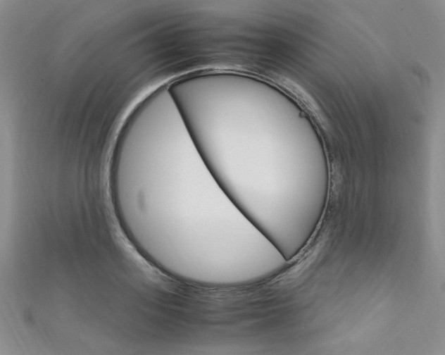 X0000111650939200907171056