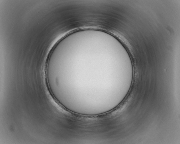 X0000111650941200907171056