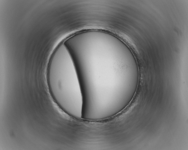 X0000111650942200907171056
