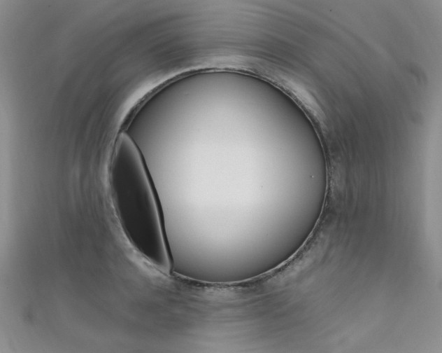 X0000111650944200907171056