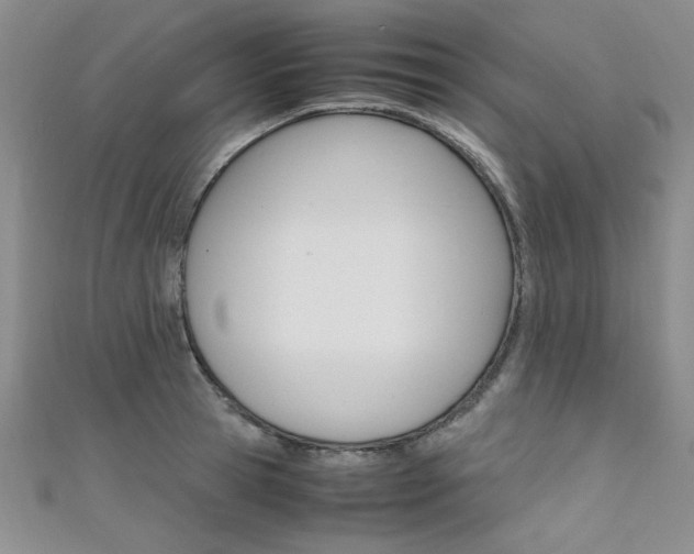 X0000111650945200907171056