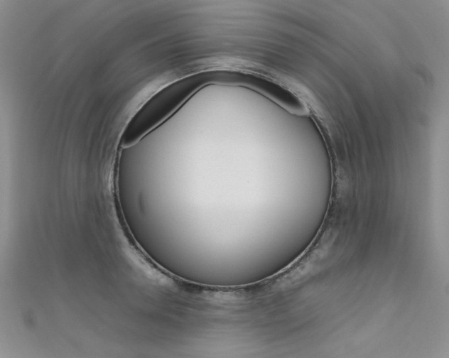 X0000111650946200907171056