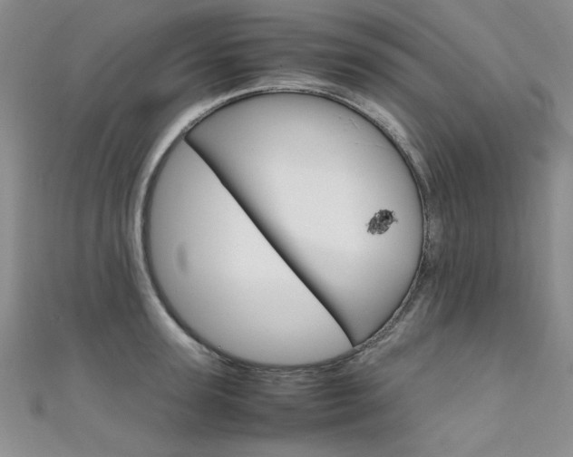 X0000111650947200907171056