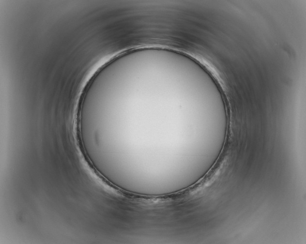 X0000111650949200907171056