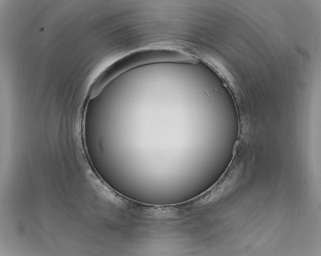X0000111650952200907171056