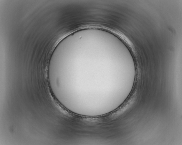 X0000111650953200907171056