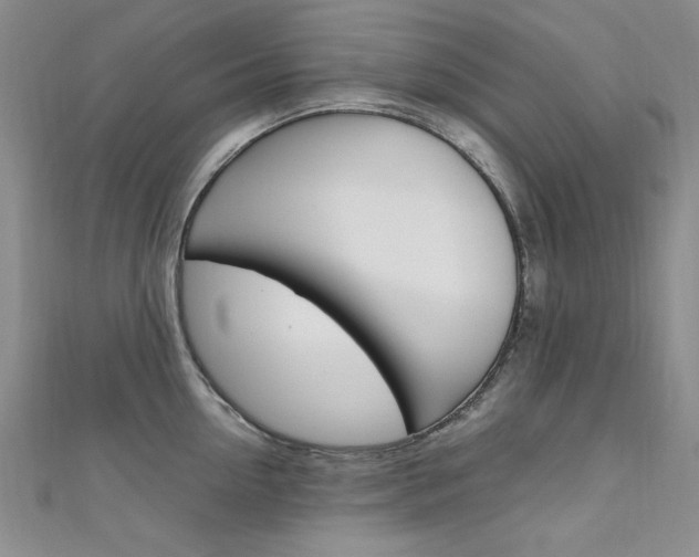 X0000111650954200907171056