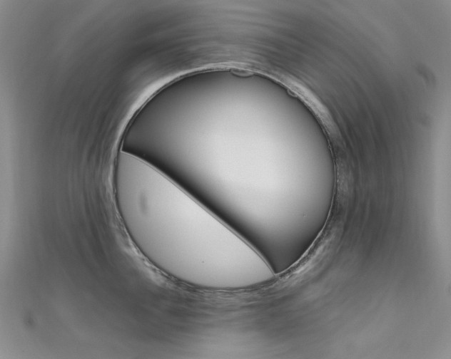 X0000111650956200907171056