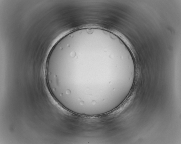 X0000111650957200907171056