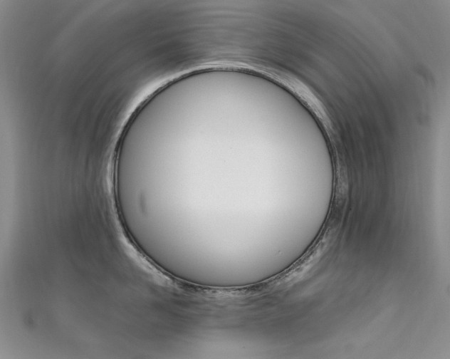 X0000111650958200907171056