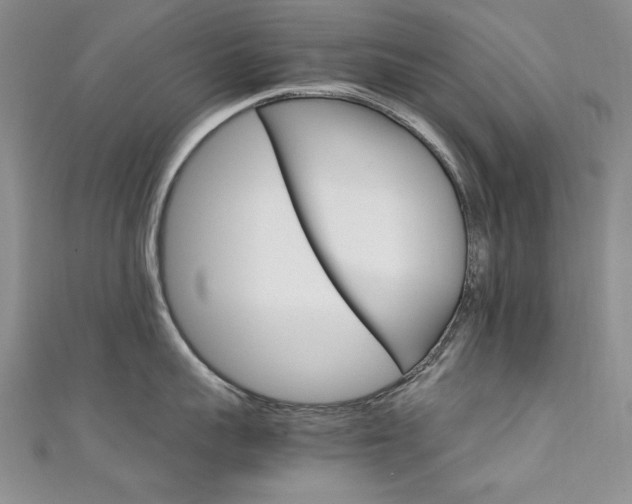 X0000111650959200907171056