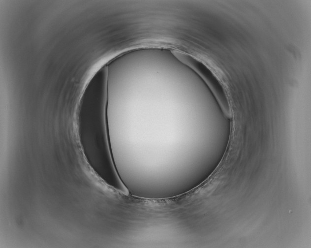 X0000111650960200907171056