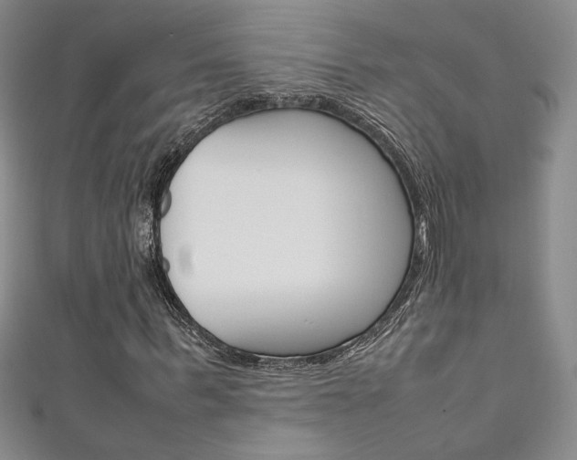X0000111650963200907171055