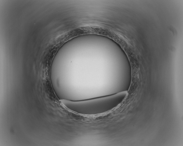 X0000111650965200907171055