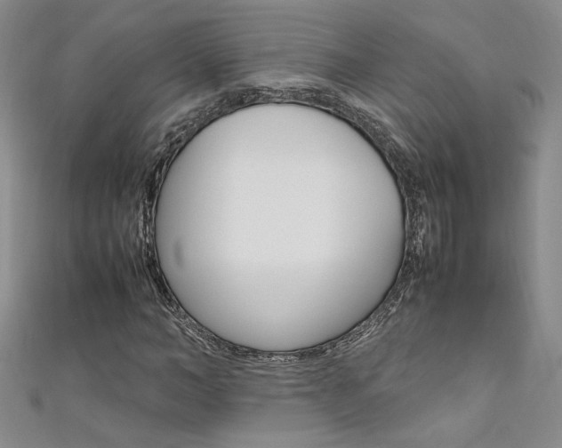 X0000111650966200907171055