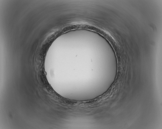 X0000111650967200907171055
